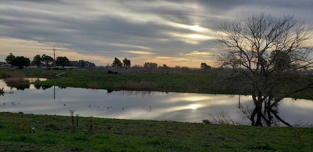 Poppy House Seasonal Pond - Image 1
