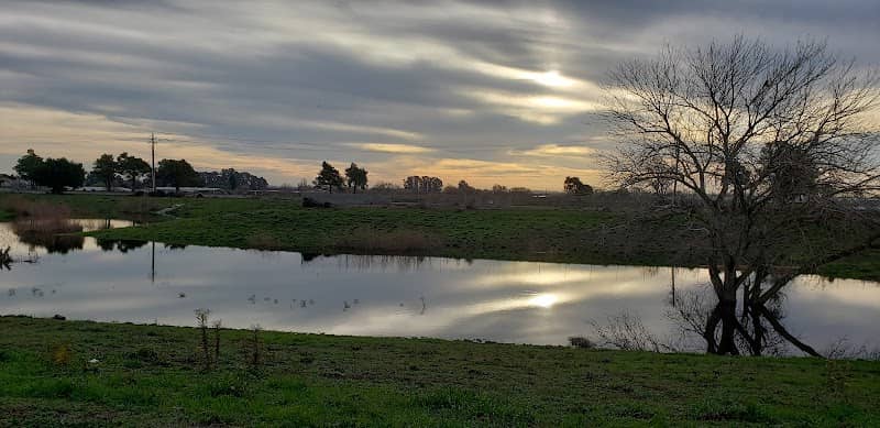 Poppy House Seasonal Pond - Image 1