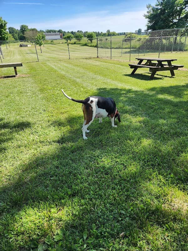 Woodland Park - Image 1