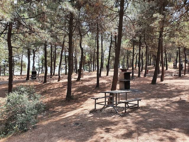 Kuştepe Picnic - Image 1