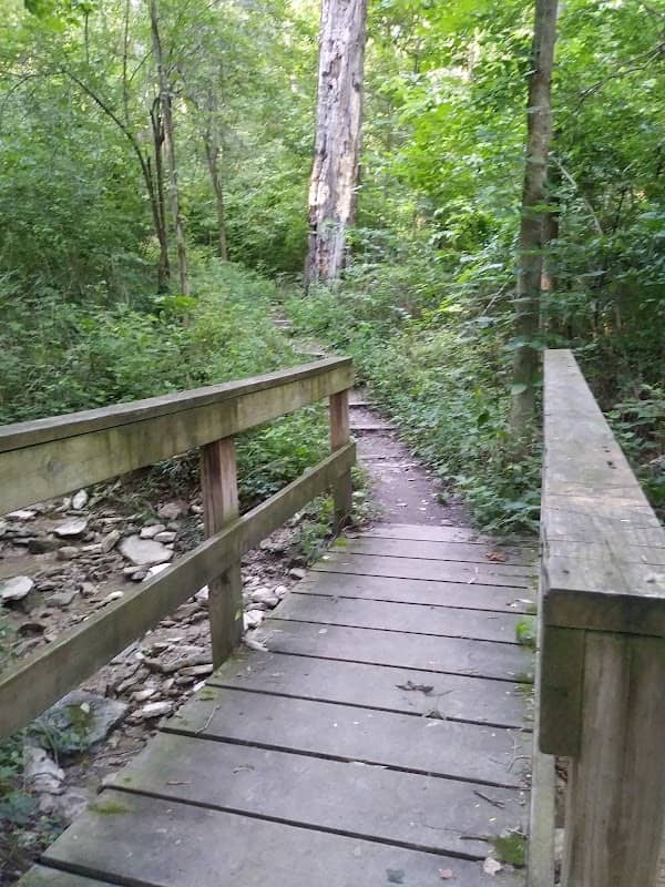The Narrows Reserve Nature Center - Image 1