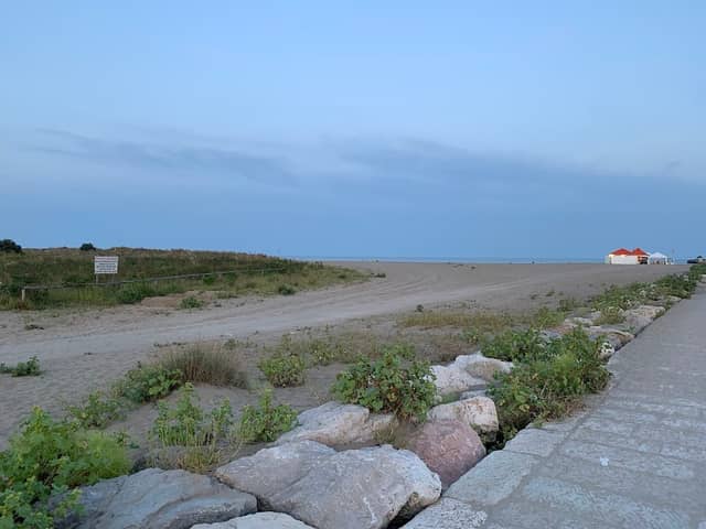 Foresta di Punta Sabbioni - Image 2