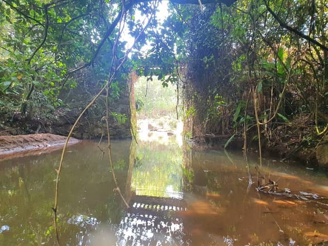 Mata-burro Alto - Image 1