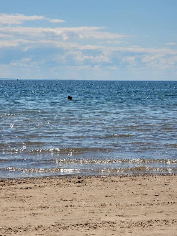 Pleasant Beach - Image 1