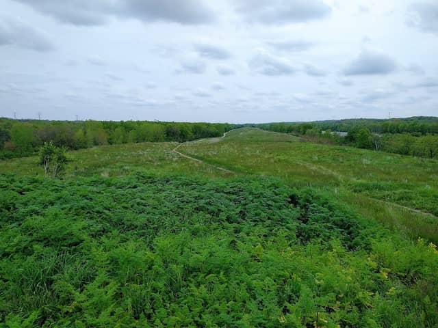 Top of Centennial Ridge - Image 1