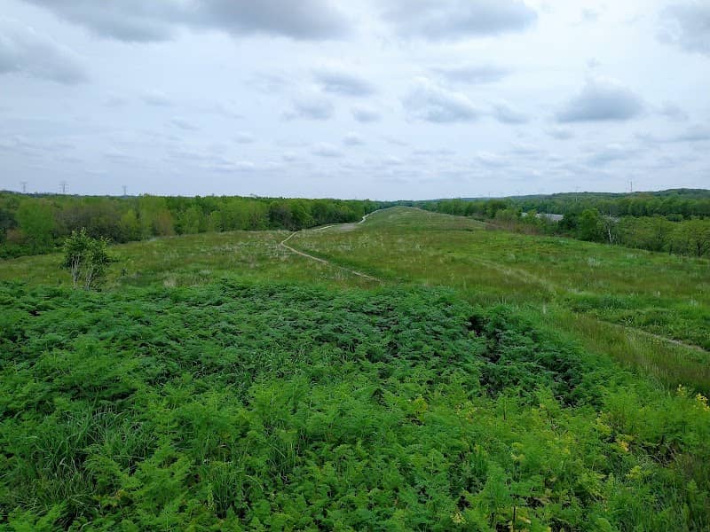 Top of Centennial Ridge - Image 1