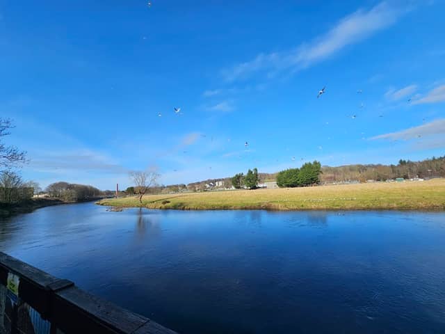 Mugiemoss hub & park trails and walks - Image 3