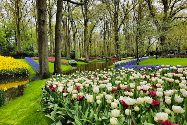 Keukenhof - Image 1