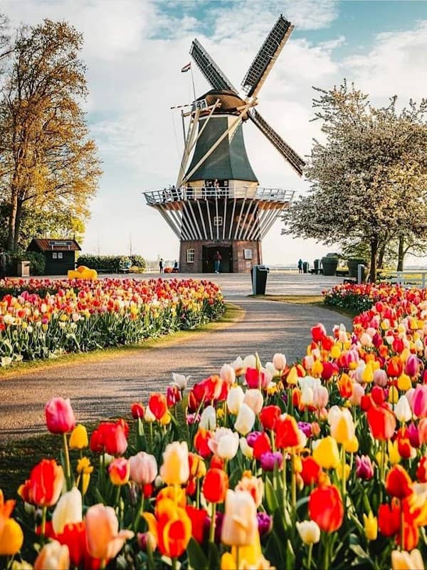 Keukenhof - Image 2