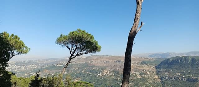 Darb El Taleh - Image 2