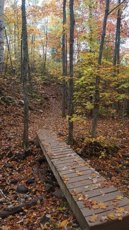 Superior Hiking Trails - Image 2