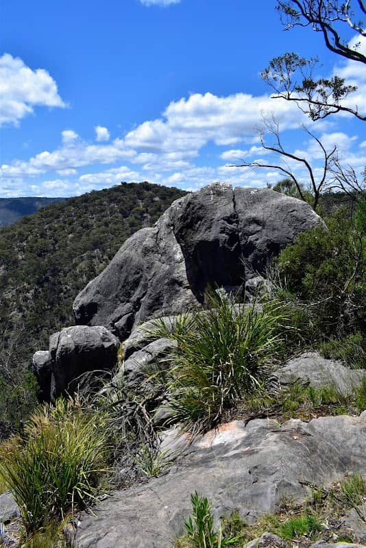 The Lookdown lookout - Image 3