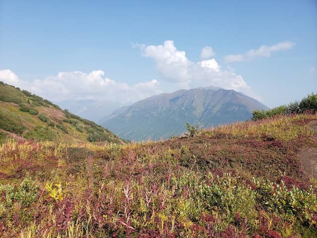 Blue Berry Knoll - Image 2