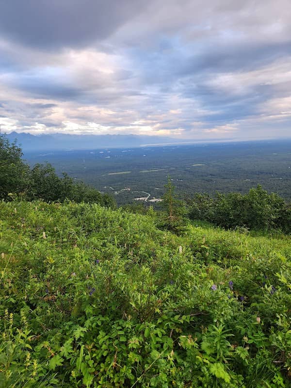 Blue Berry Knoll - Image 1