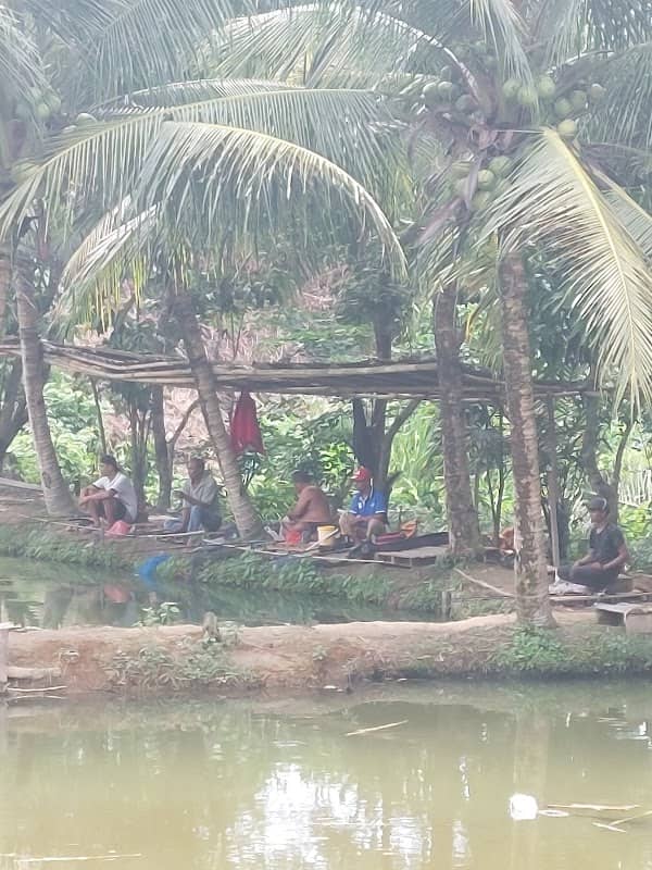 Kolam pancing Dewi tarigan - Image 2