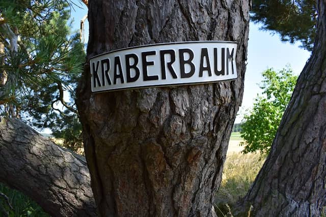 Kraberbaum - Image 2