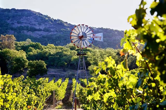 Silver Stag Winery - Image 2