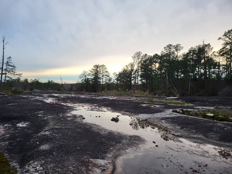 Arabia Mountain National Heritage Area - Image 2