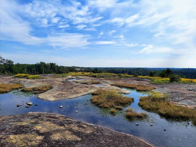 Arabia Mountain National Heritage Area - Image 3