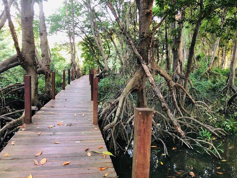 Wooden bridge Noen Pha sub district - Image 1