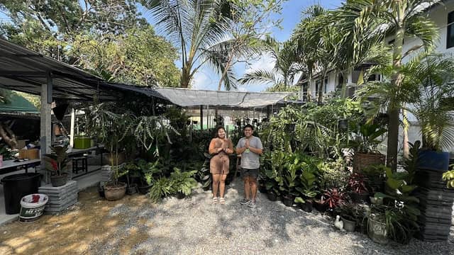 Wandee's Garden - Image 1