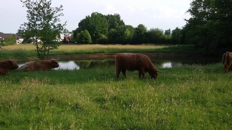 Natuurpark Overstegen - Image 1
