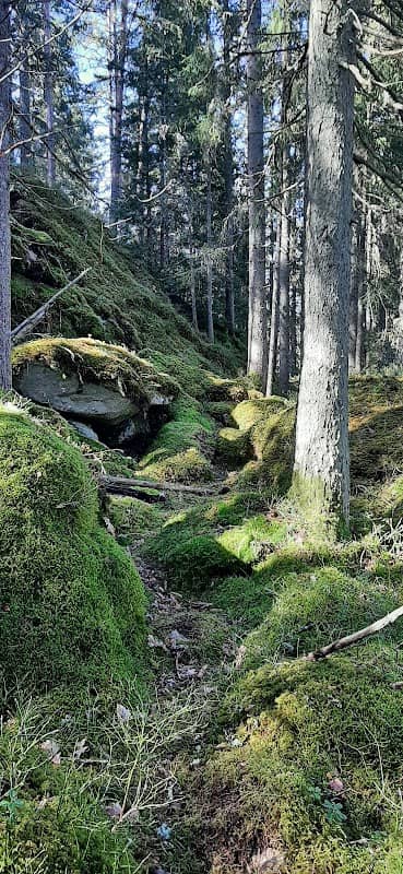 Sponvika skanse - Image 2