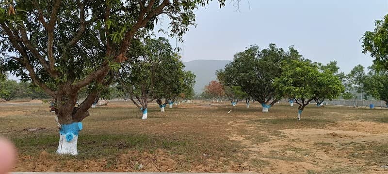Lakshmi - Image 1