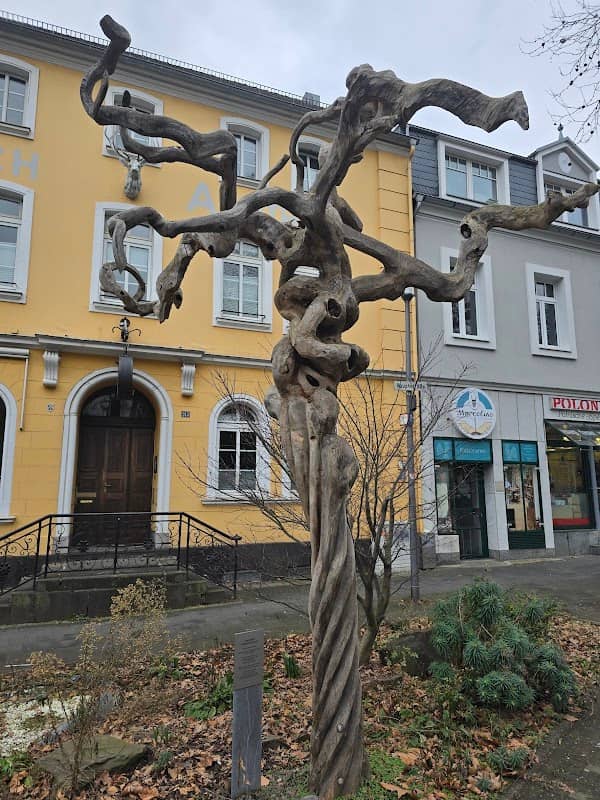 Japanischer Schnurbaum - Image 1