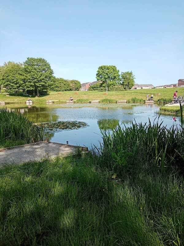 Fen Park - Image 2