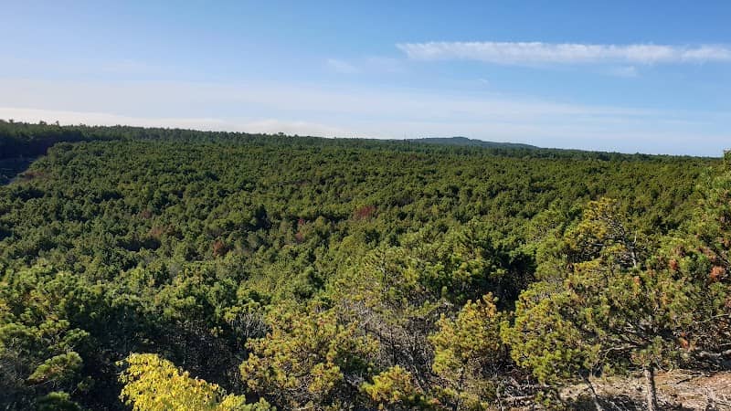 Giedružė Dune - Image 1