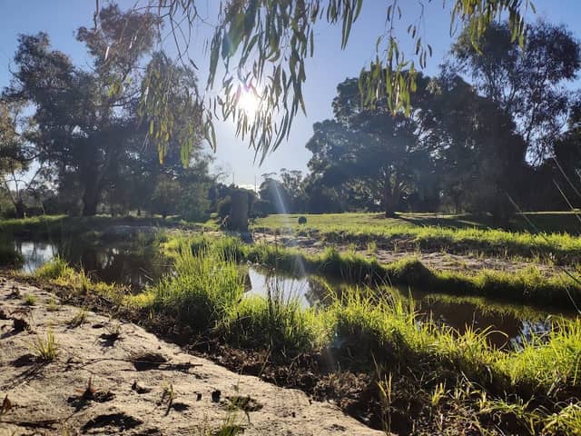 Mint Street Wetlands - Image 2