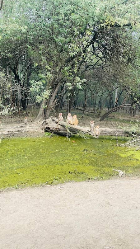Wild Life Sanctuary - Image 1