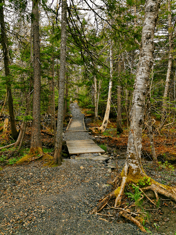 Baille Ard Trail - Image 2