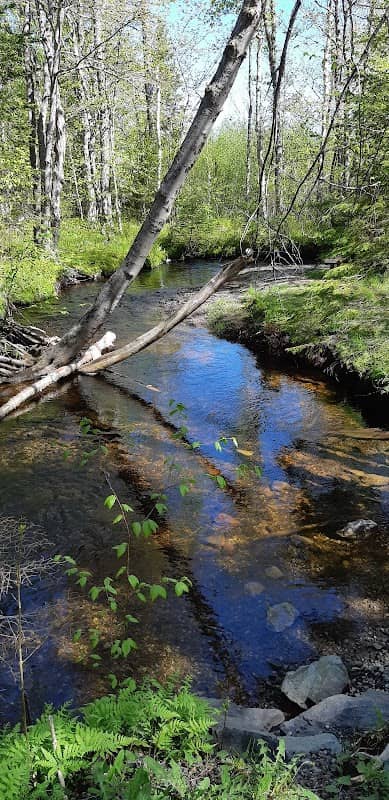 Baille Ard Trail - Image 3