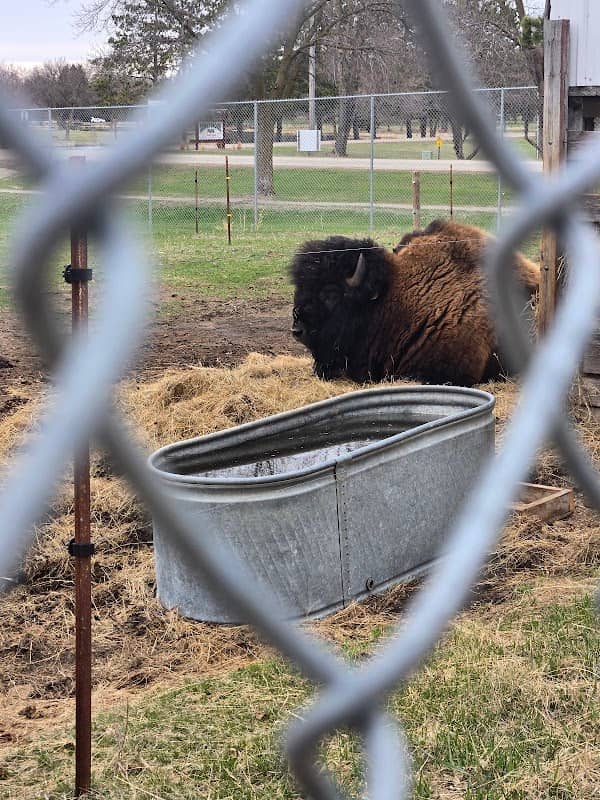 Buffalo Park - Image 2