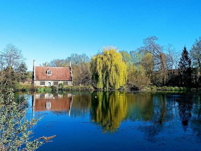 Bourne Valley Local Wildlife Site - Image 2