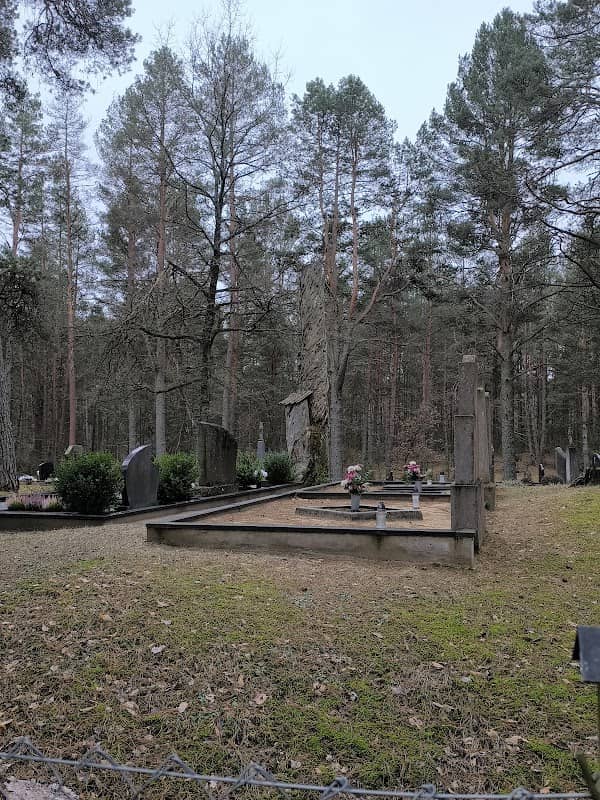 Trasninko drevėtos pušys - Image 1