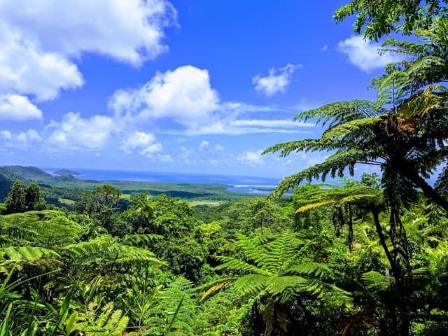 Daintree National Park - Image 2