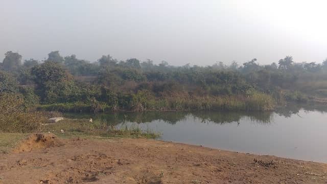 Shanti Kuthi - Image 1