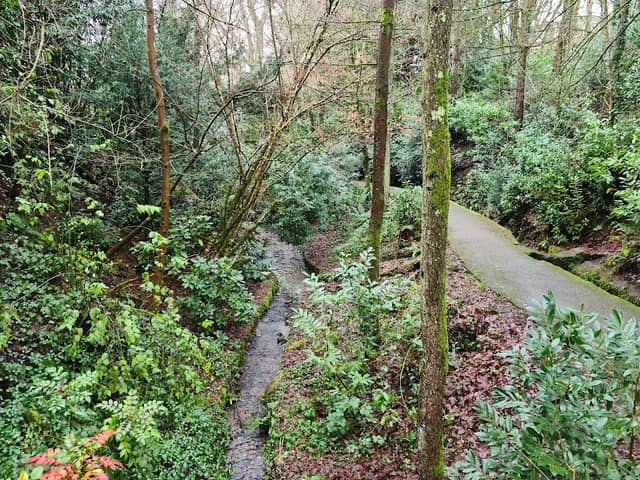 The Glen - Image 1