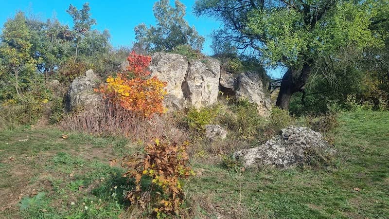 Sajmeggyes Kúp - Image 1