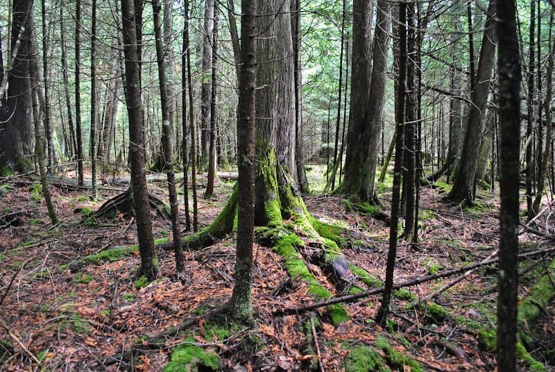 Brule Glacial Spillway State Natural Area - Image 2