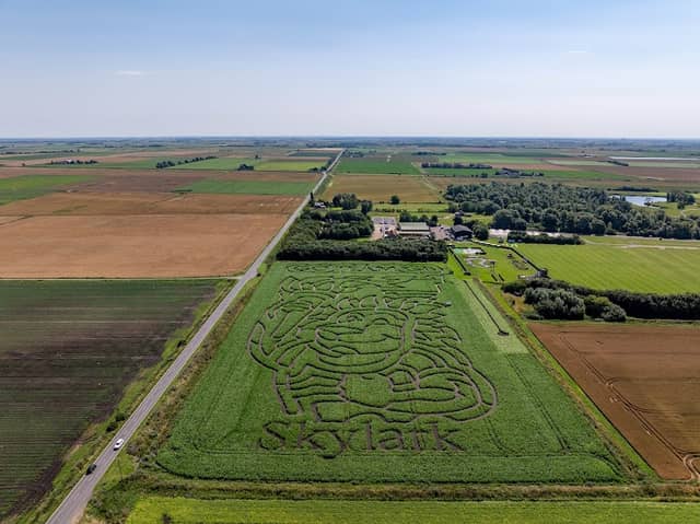 Skylark Maize Maze & Funyard - Image 1