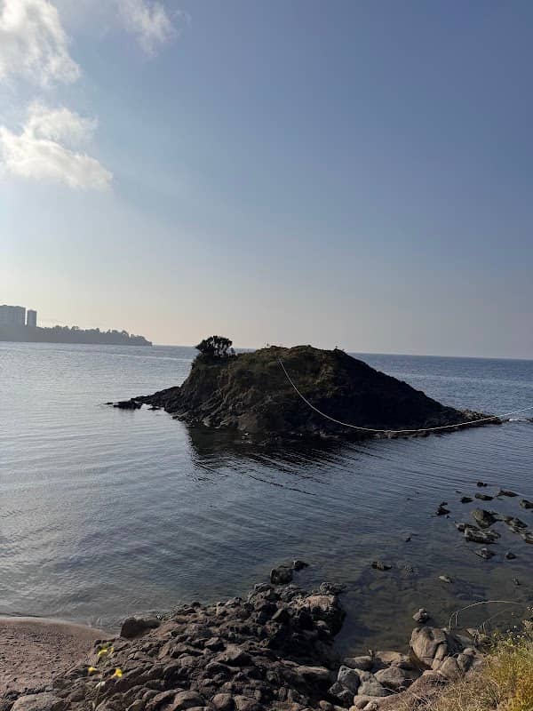 Tirebolu Adası - Image 1