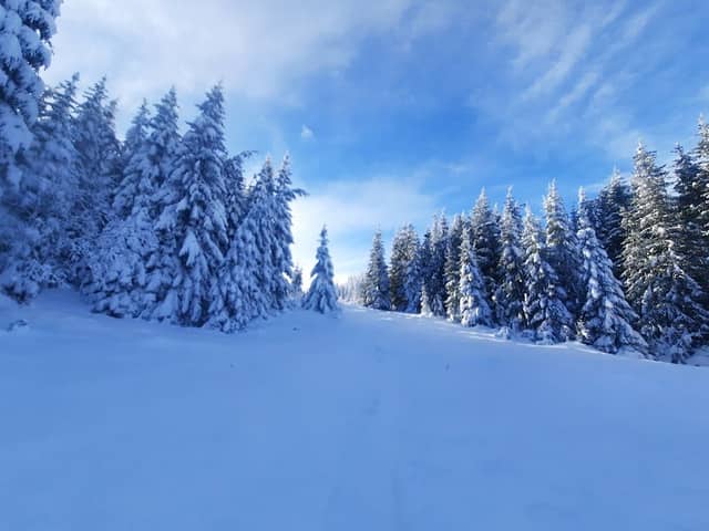 Poiana Dosu Ghilcosului - Image 1