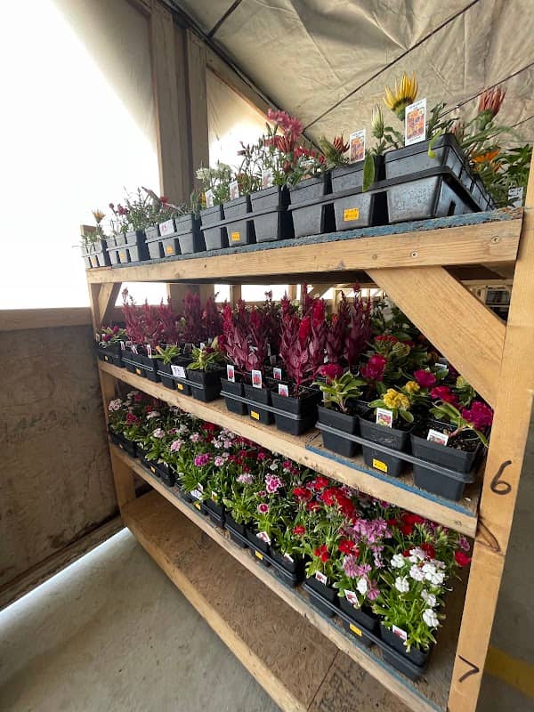 Angela flower shop of Columbus Ks - Image 1