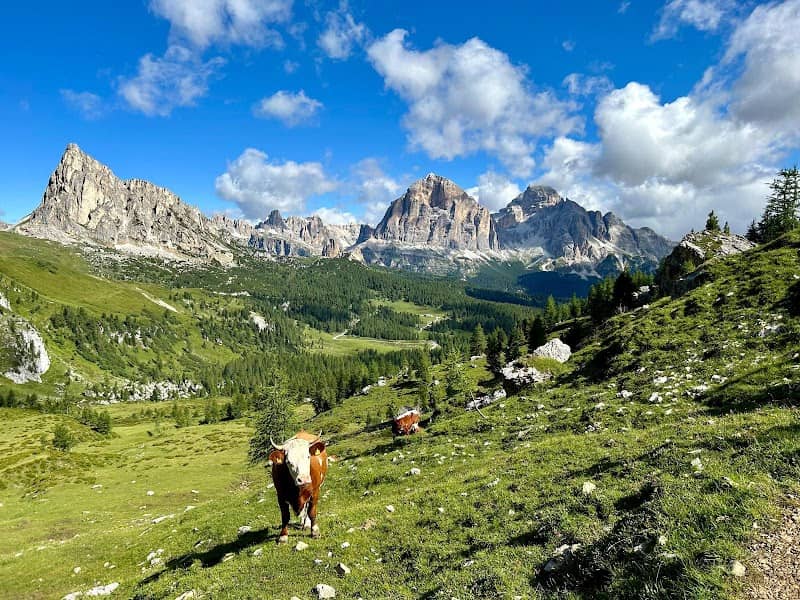 Altopiano di Mondeval - Image 1