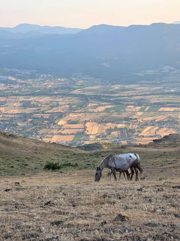 Piano dell'Imperatore - Image 1