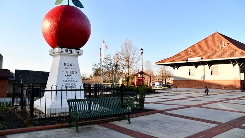 The Big Red Apple - Image 2